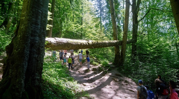 Letní příměstské tábory 2023